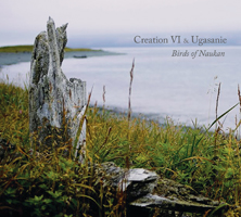 Creation VI & Ugasanie – Birds of Naukan